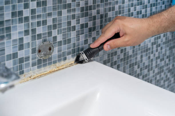Best Residential Mold Remediation in Parrish, AL