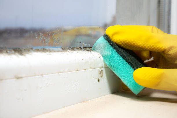 Best Bathroom Mold Remediation in Parrish, AL